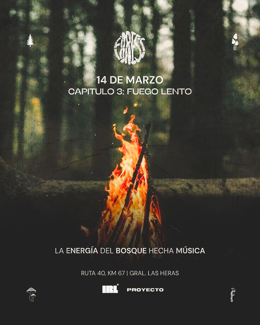 Forest: Capítulo 3 - Fuego Lento